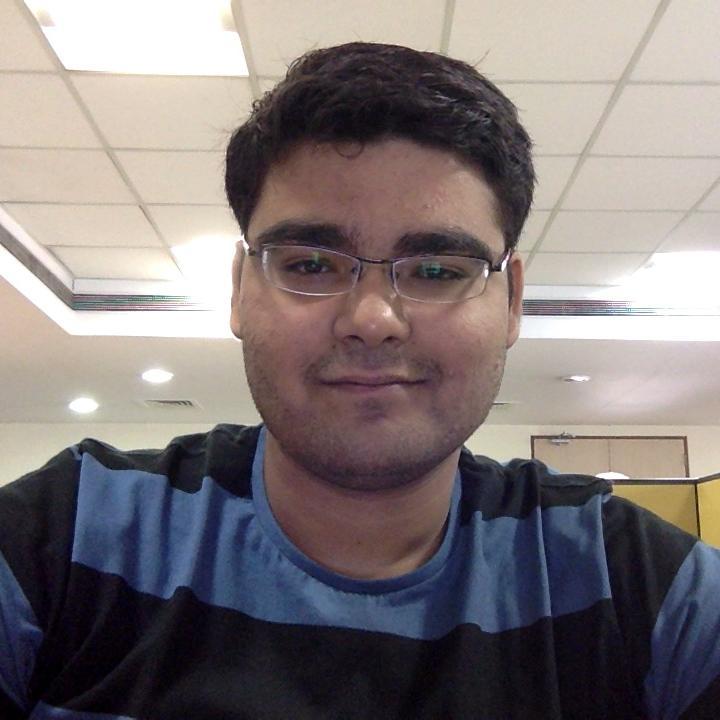 Software Developer