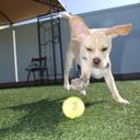 Darren Blatt - @darren_blatt - Twitter