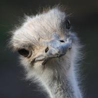 change_junky's profile picture. Executive design leader