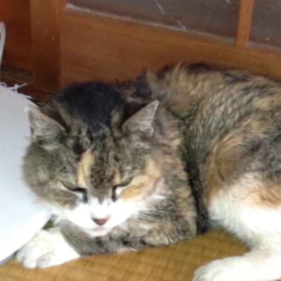 葉月　ゆっくりゆっくり優しくさんのプロフィール画像