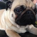 Steve Driver - @stevieb0y73 - Twitter