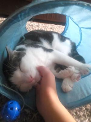 jordanstephans1's profile picture. 