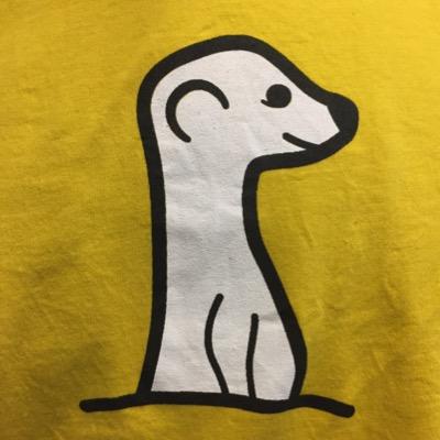 Back-end engineer @appmeerkat.