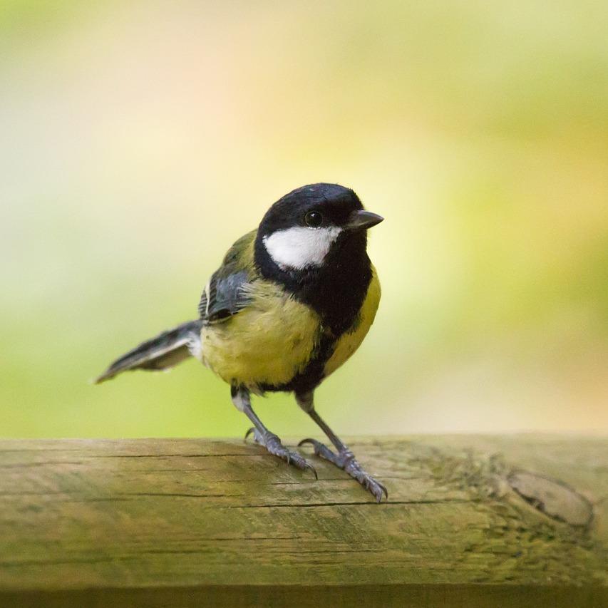 MEB_Studie's profile picture. Seriöse Online-Post-Studie mit attraktiven Prämien! Nähere Informationen auf https://t.co/XjpxdJwTyD