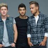 One Direction, estudiante, tulipanes.