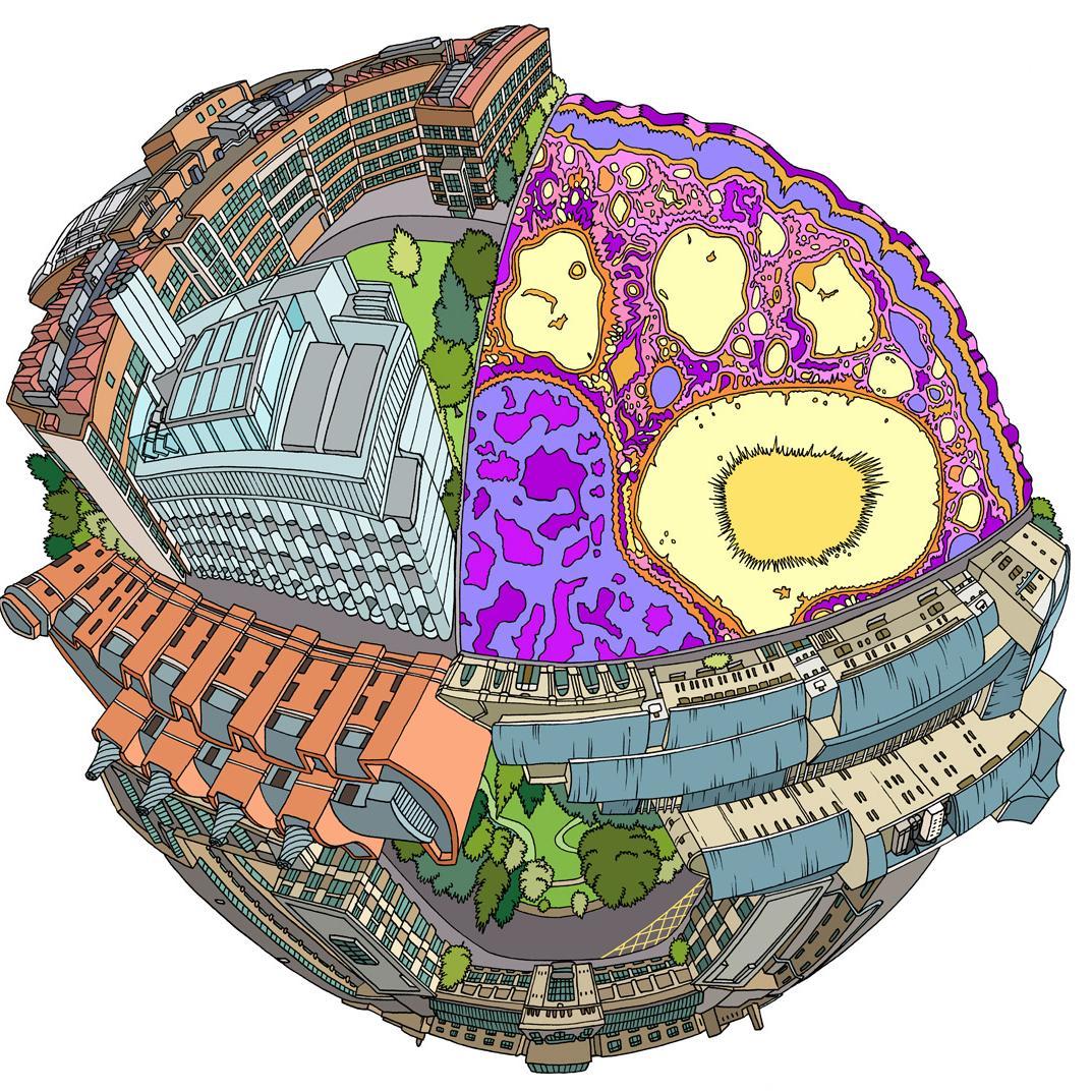 Coordinating synthetic and engineering biology research and innovation across Bristol. Official account of the University of Bristol.