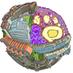 Bristol BioDesign Institute (@brisbiodesign) Twitter profile photo Bristol BioDesign Institute (@brisbiodesign) Twitter profile photo