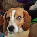 Frank Hamlin - @silverlakesport - Twitter