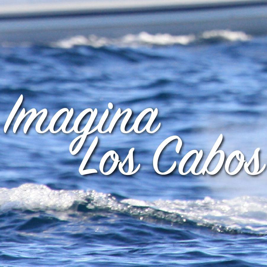 ImaginaLosCabos's profile picture. 