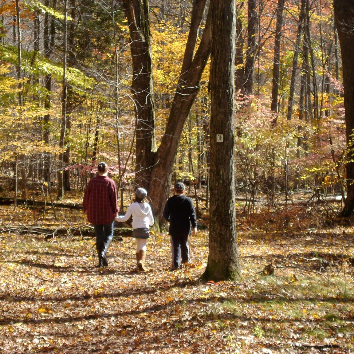 othermotherblog's profile picture. As a Stepmother for ten years I have found the way to get the most out of your relationship with the kids is to be all-in. My stories can show you how to be.