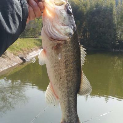 ルアーで釣るものは全て釣る!最近チニングにはまってますヽ(´ー｀)普段は岡山の赤磐市の野池で活動しています。釣り好きの方フォローお願いします!県外の人も大歓迎です!フォローは釣り関係限定デス(b'3`*) 移動手段はninja