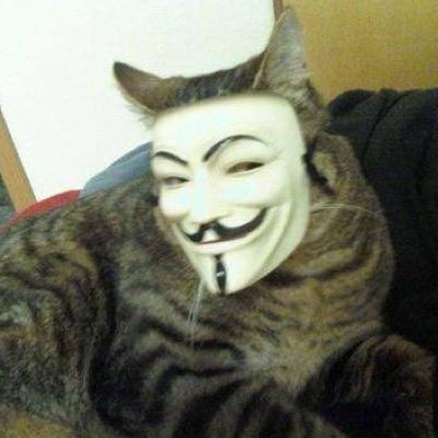 Almost everybody loves animals, right? Sadly theres that percent of people that dont, animals are abused every day, if you see someone abusing please report:)