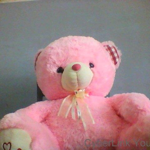 akshaya9719's profile picture. 