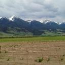 Tasha Mills - @tleamills - Twitter