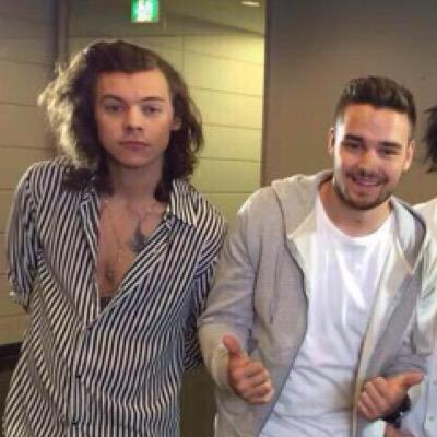 harry louis zayn liam niall