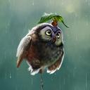 Nikki Maher - @nicki_m2 - Twitter