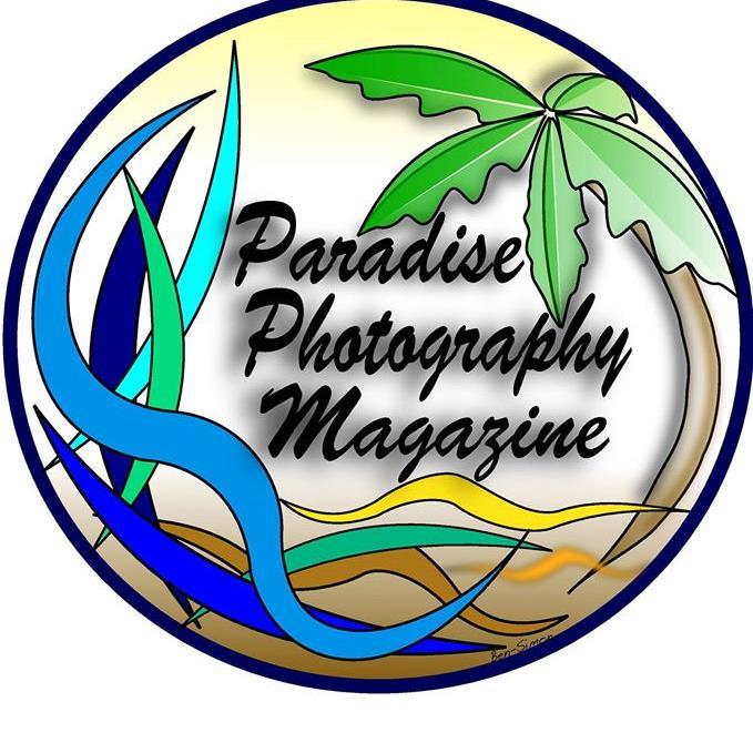 KellyKealoha's profile picture. 