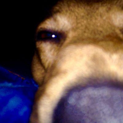 Marley