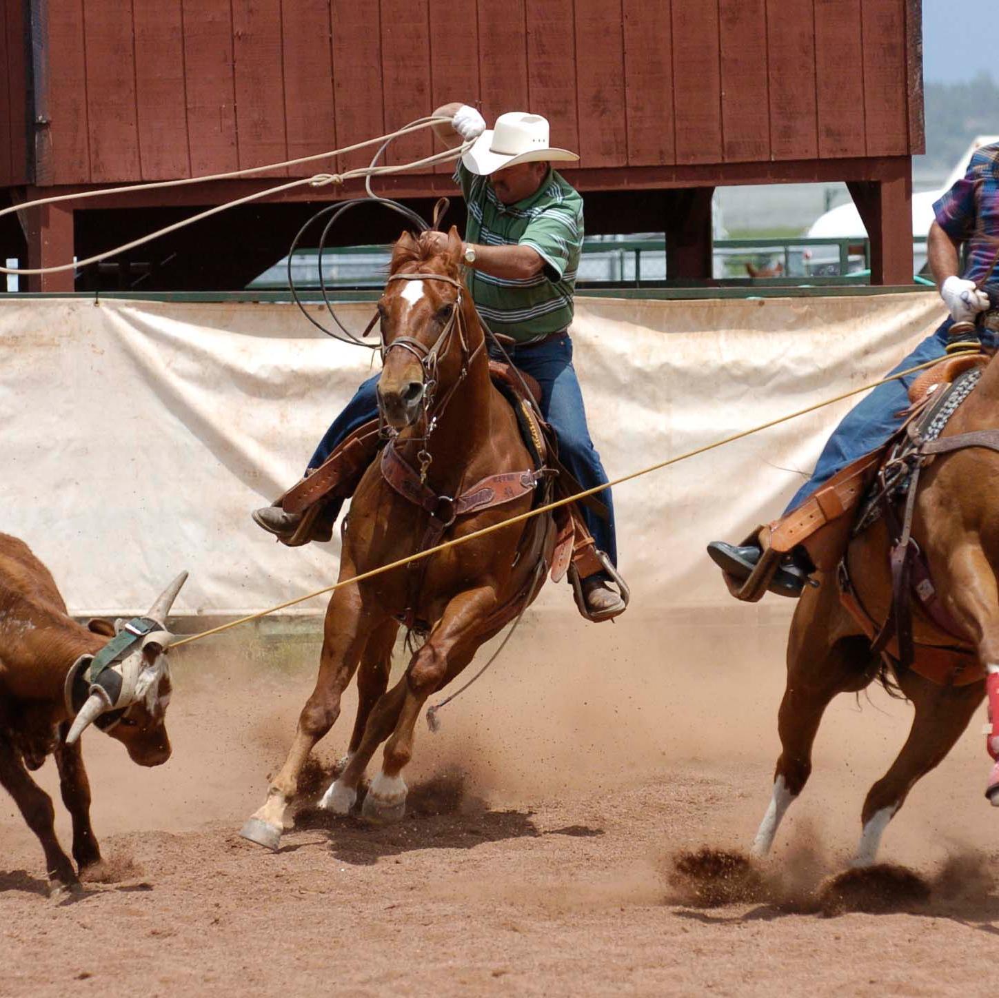 bhoman72's profile picture. Philippians 4:13, I can do all things through him.
Husband to a beautiful wife, father to 4 amazing kids Physical Education and Health teacher @PillagerSchools