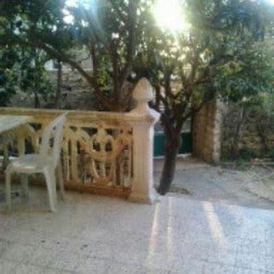 3c28119772c44db's profile picture. 