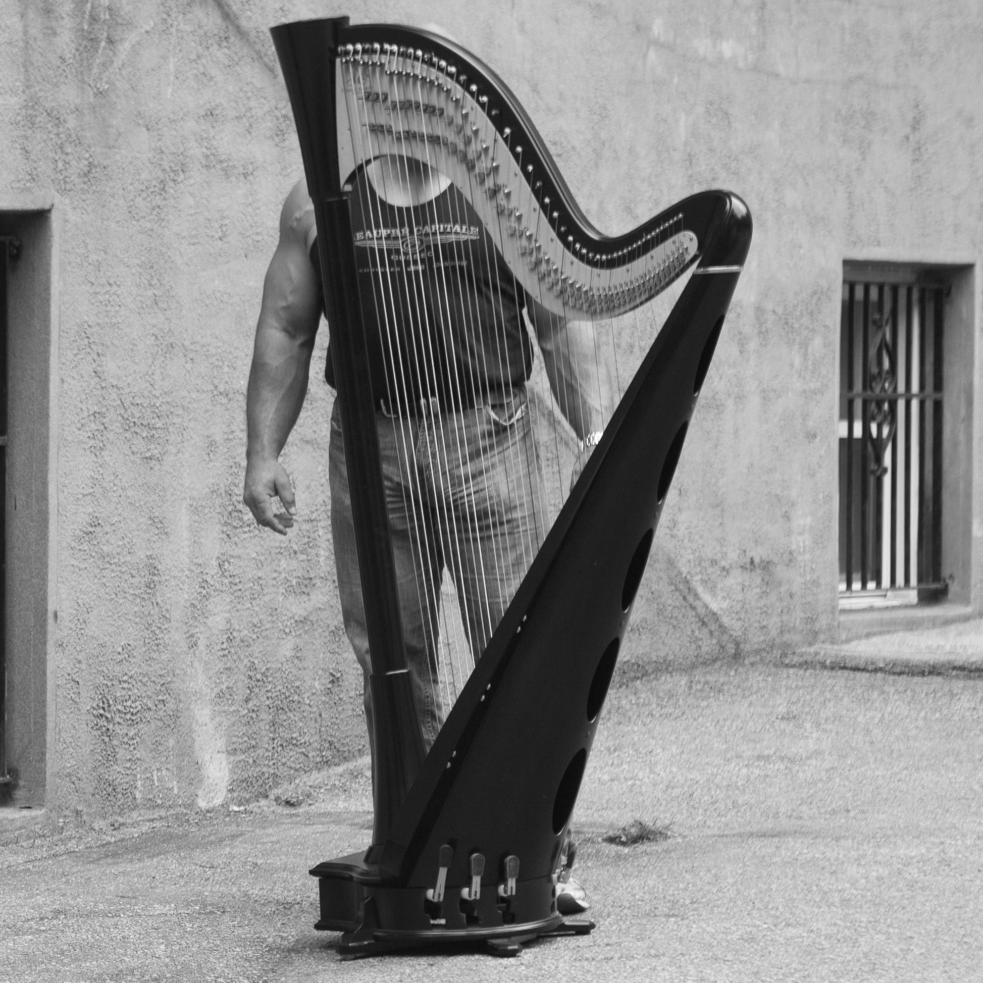 Harpiste disjonctée / Crazy Harpist