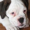 Daniel Monaghan - @cocoroxie2001 - Twitter