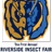 InsectFair's profile image