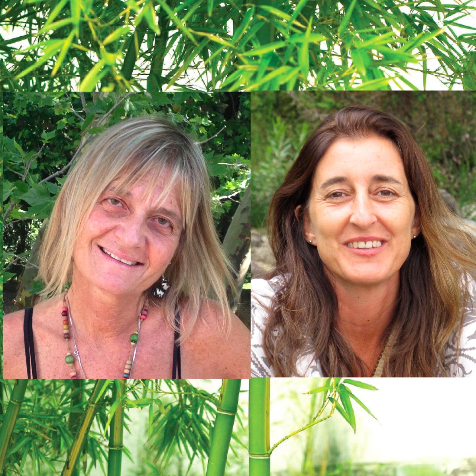 NUESTRA MISION: facilitar la comprension de la vida desde un MANANTIAL q brota en el interior y excede los asuntos mundanos y solo se puede lograr en PRESENCIA