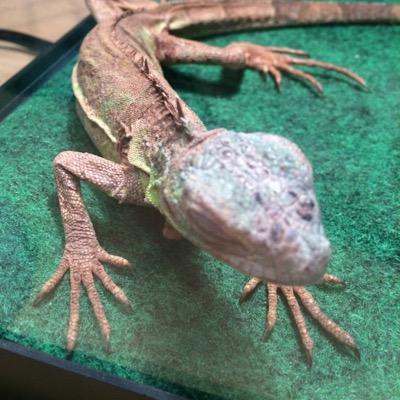 kurtisism's profile picture. 