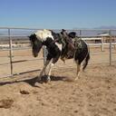 Deb Erickson - @Pearluv - Twitter