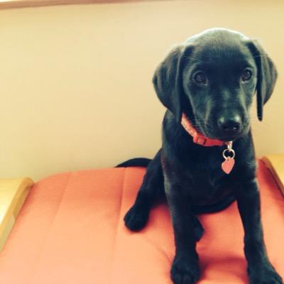 SueC0902's profile picture. 