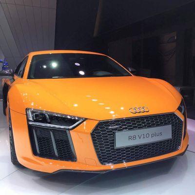 AudiBloem's profile picture. Vorsprung Durch Technik. Forward thinking ability to anticipate the needs of rapidly changing times by consistently creating great cars.