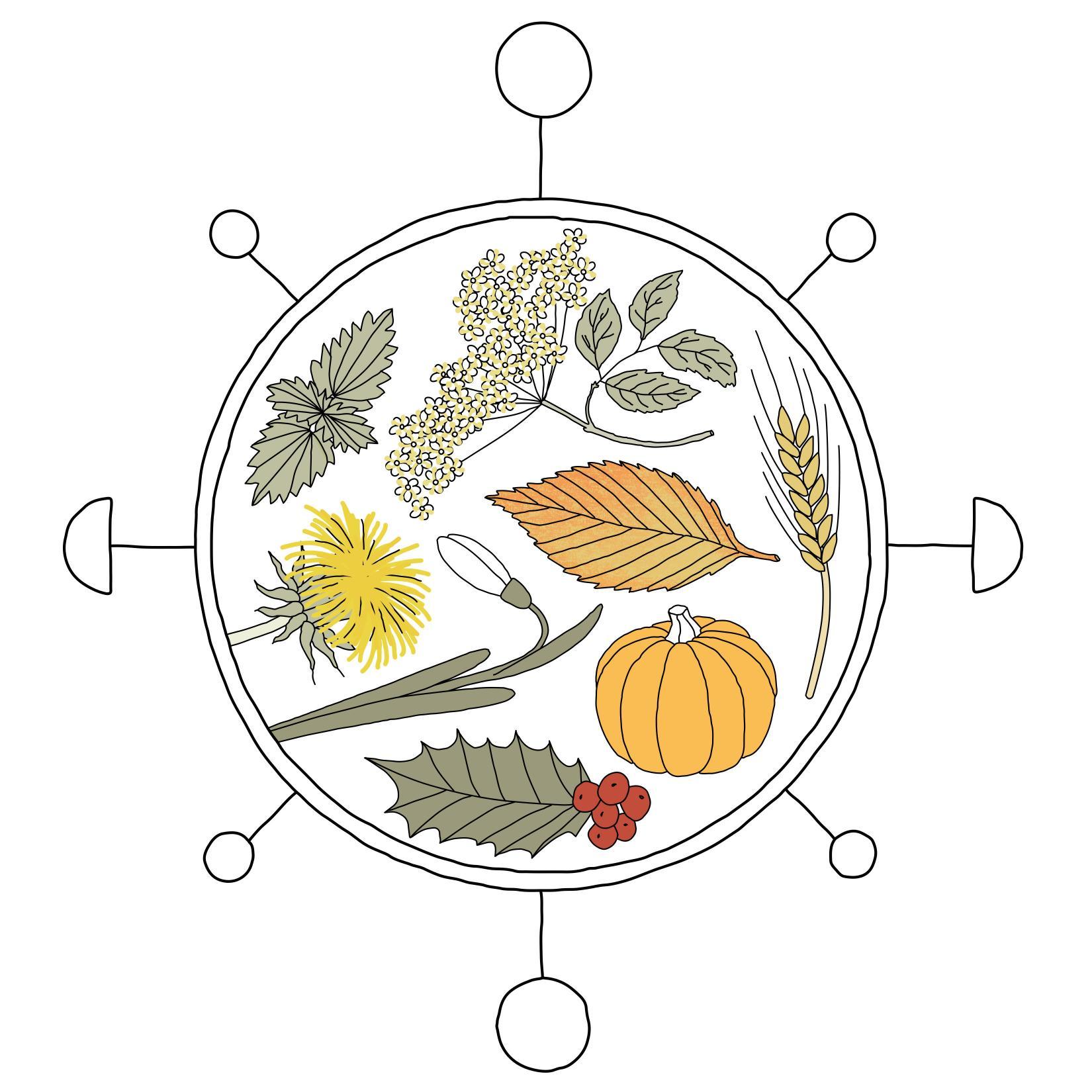 Newsletter about using the cycle of the seasons to structure and celebrate your life.