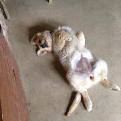 funjump64's profile picture. 