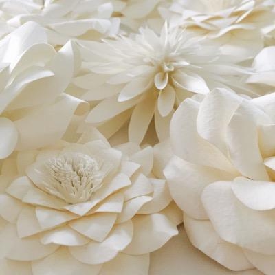 love_paper_nola's profile picture. Flowers artfully constructed using only paper, scissors, and a glue gun. And love. (Website under construction!)