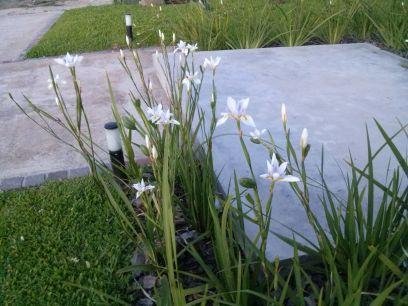 lauritapel40's profile picture. 