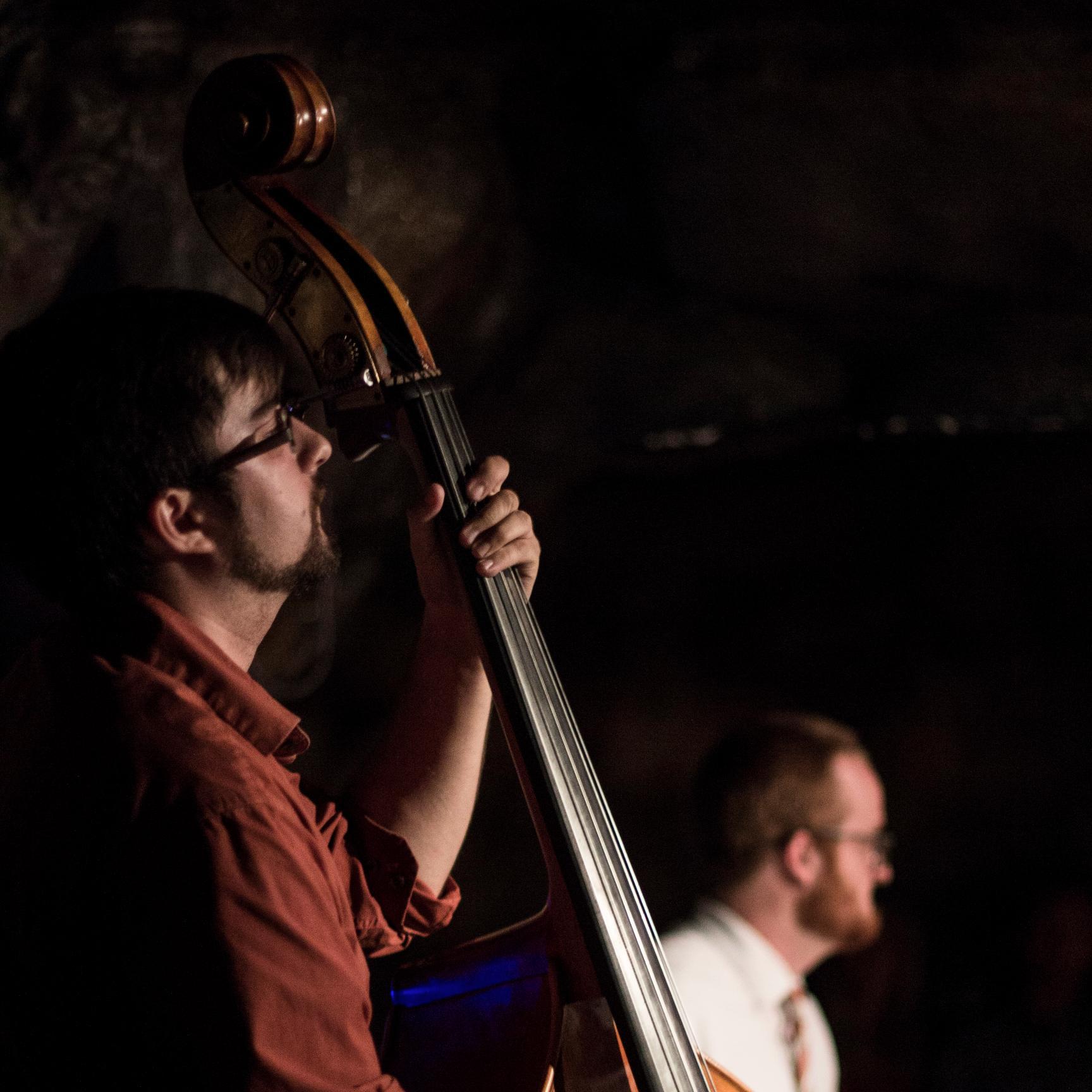 I'm a working bassist in the Washington DC area