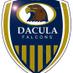 DHS Men's Soccer (@daculaboyssocr) Twitter profile photo