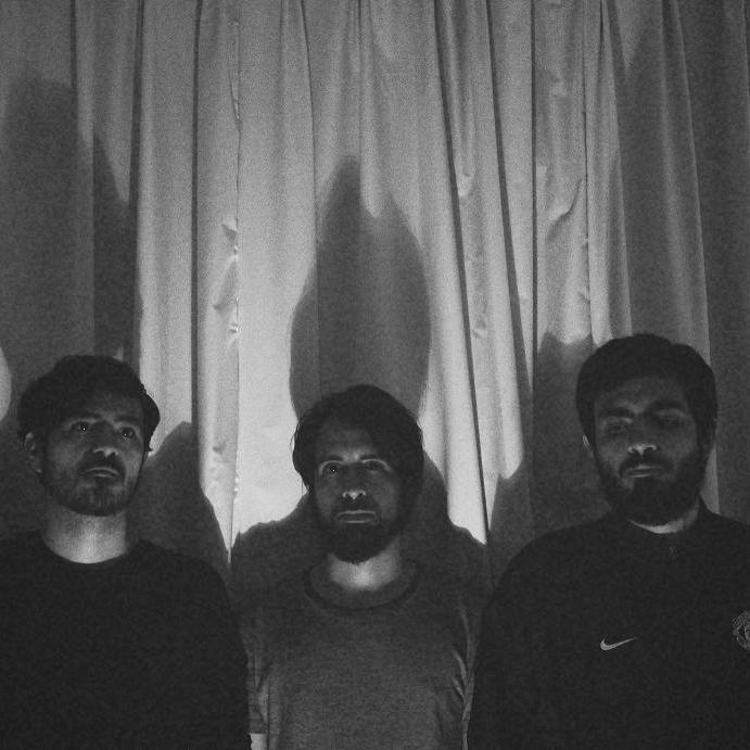 animalscarnival's profile picture. 