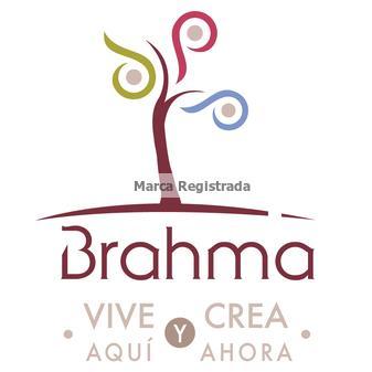 BrahmaDH Profile Picture