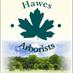Hawes Arborists (@hawesarborists) Twitter profile photo Hawes Arborists (@hawesarborists) Twitter profile photo