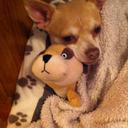 Jean Downes - @DownesJean - Twitter