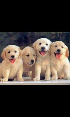 lo mejor de la vida :) ;)