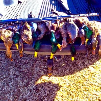 Dedicated duck hunters Understanding the art of Calling ducks and Keeping the tradition alive! -WingBros2WF -Justice Condray -Cole Phillips -Levi Hicks