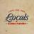 Locals_Tilburg's profile image
