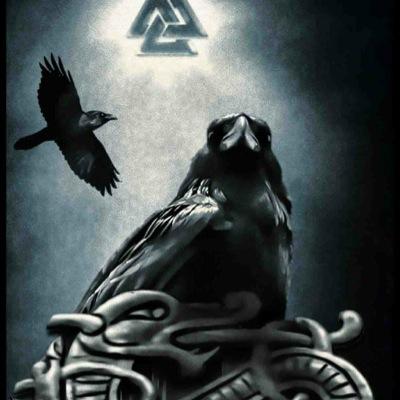 Killer_BeeX's profile picture. 