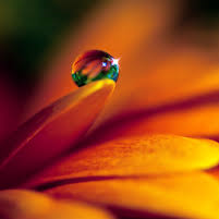 lucyevins's profile picture. 