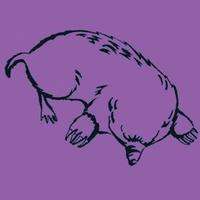 Winder House (@winderhouse) 's Twitter Profile Photo Winder House (@winderhouse) 's Twitter Profile Photo