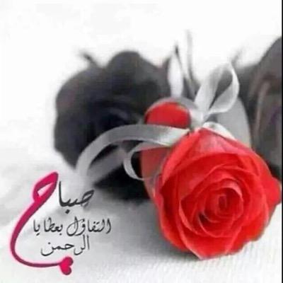 يآ’شينـَـَـَها لا صرت معجب وخجلان خوِف المصارح لا يجيــب المطـمٌه -أخِاف اصارح بالغلا ذاك الانسان وينقلب جـو المصارح مذمـه ࿐