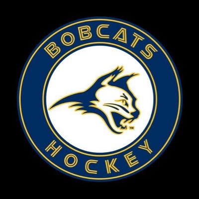 Az. Bobcats U16 AAA